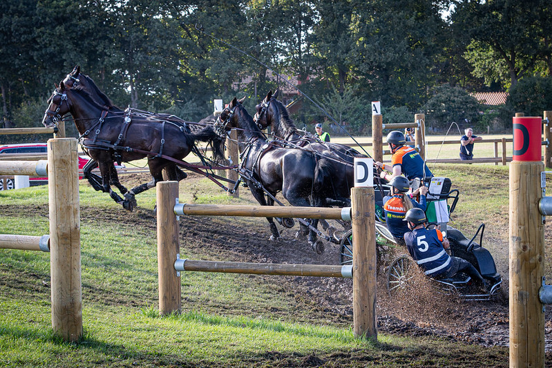 Bram CHARDON NED FEI Driving European Championship and FEI Para World Championship Lahden 2025 Marathon Test