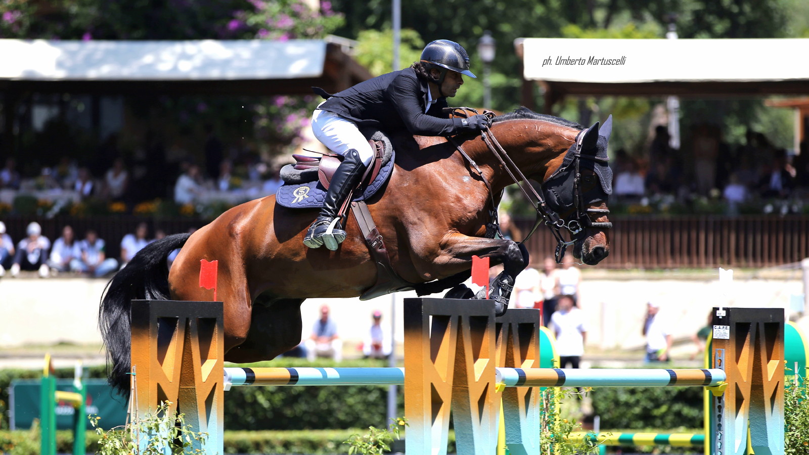 CSIO Roma Emanuele Camilli su Chacareno PS OK