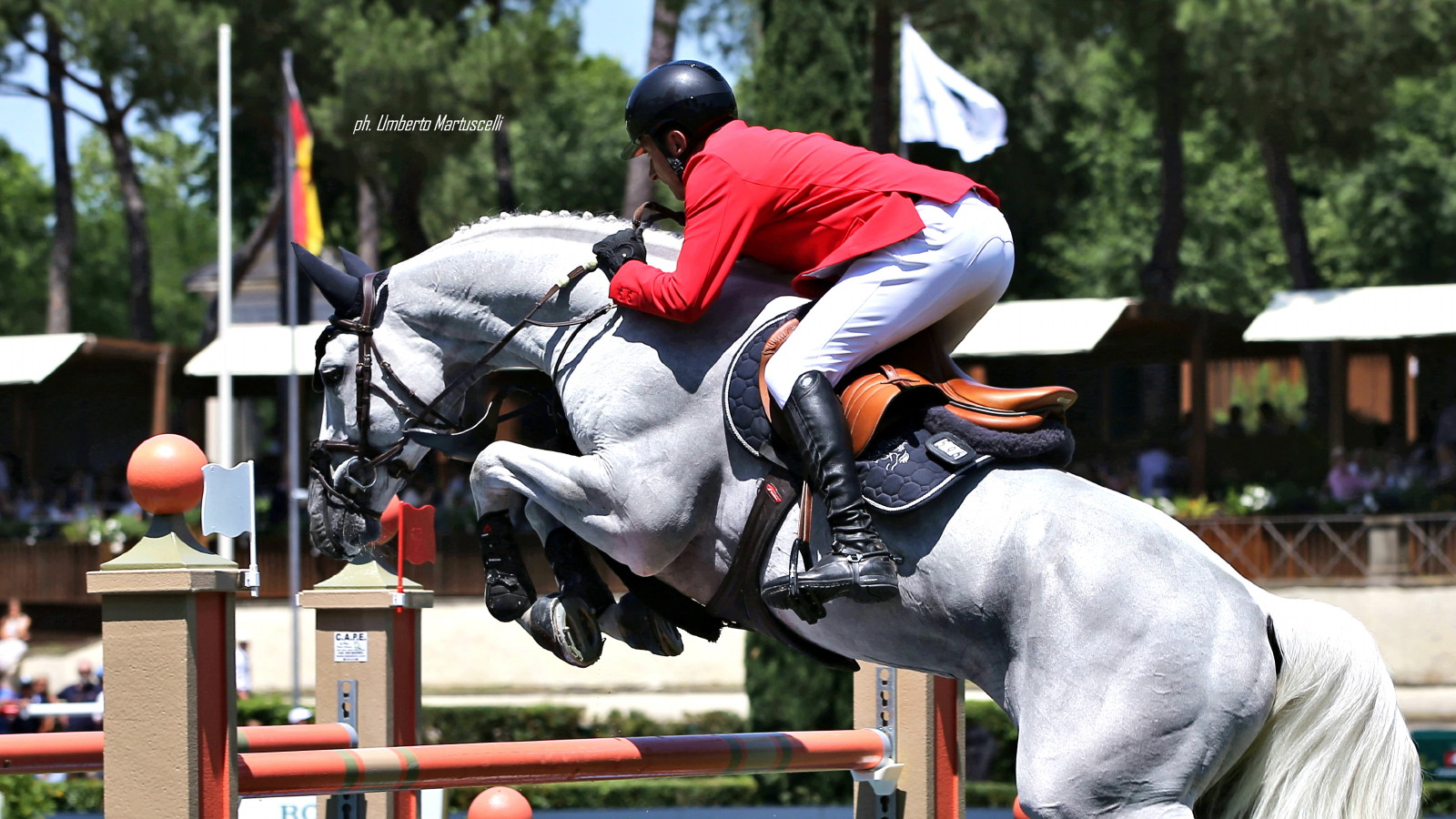CSIO Roma Piergiorgio Bucci su Pallieter van de N.Ranch OK