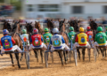 Salento protagonista dell’Ippica Internazionale