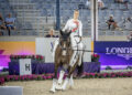 Rebecca e Romulus, Aachen 2026: Rebecca passa il turno e il ‘vecchio’ Rosenstolz stupisce ancora