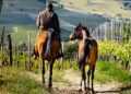 Imprese e istituzioni per il turismo rurale con il cavallo