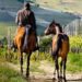 Imprese e istituzioni per il turismo rurale con il cavallo