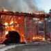 Stalla in fiamme, salvi due cavalli