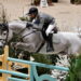 Christian Kukuk ritira Checker dalla squadra olimpica