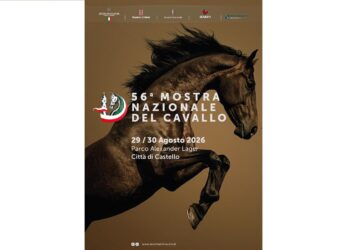 56^ Mostra Nazionale del Cavallo di Città di Castello, con Armonia