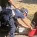 Marcigliana: i due cavalli hanno rischiato grosso