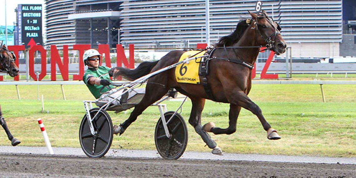 Domani al Meadowlands va in scena l’Hambletonian, il Derby USA di trotto