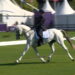 Aachen 2026: l’Italia in completo dopo il dressage