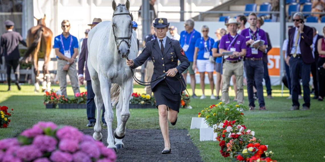 Aachen 2026: i cavalli azzurri ok all’ispezione veterinaria