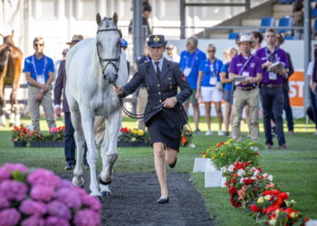 Aachen 2026: i cavalli azzurri ok all’ispezione veterinaria