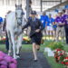 Aachen 2026: i cavalli azzurri ok all’ispezione veterinaria