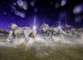 Un tiro a quattro di cavalli grigi attraversa velocemente un ostacolo d’acqua illuminato dai riflettori, sollevando grandi spruzzi davanti alle tribune