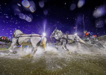 Un tiro a quattro di cavalli grigi attraversa velocemente un ostacolo d’acqua illuminato dai riflettori, sollevando grandi spruzzi davanti alle tribune