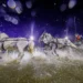 Un tiro a quattro di cavalli grigi attraversa velocemente un ostacolo d’acqua illuminato dai riflettori, sollevando grandi spruzzi davanti alle tribune