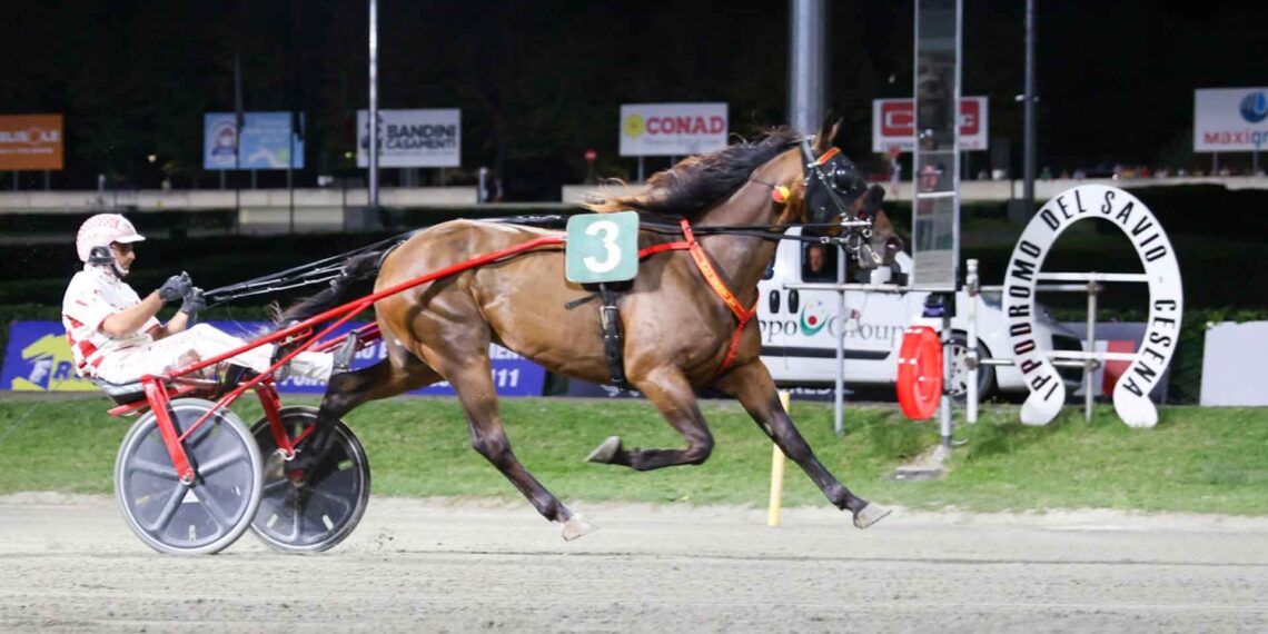 Martedì al Savio la finalissima del TGDA