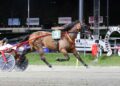 Martedì al Savio la finalissima del TGDA