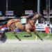 Martedì al Savio la finalissima del TGDA