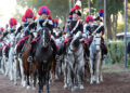 Tradizione, Arma e cavalli