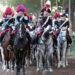 Tradizione, Arma e cavalli
