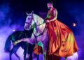 Un cavaliere in costume tipo akama rosso su un cavallo grigio che fa il passo spagnolo, durante uno spettacolo equestre illuminato da luci viola e verdi, e un fumo leggere sullo sfondo