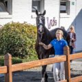 Un cavallo della squadra azzurra condotto a mano durante le attività veterinarie ai FEI World Championships Aachen 2026