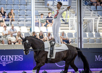 Davide Zanella esegue un esercizio in piedi su Da Vinci 367 durante i Mondiali di Volteggio di Aachen 2026.