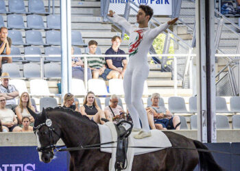 Davide Zanella esegue un esercizio in piedi su Da Vinci 367 durante i Mondiali di Volteggio di Aachen 2026.