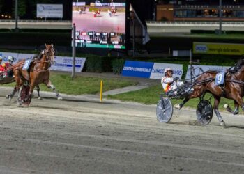 A Cesena tre anni di livello nel Gp Augusto Calzolari