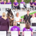 Rebecca Greggio e Davide Zanella con Malleret Romulus TS e la longeur Maud Bousignac Dumont ai Mondiali di volteggio di Aachen 2026
