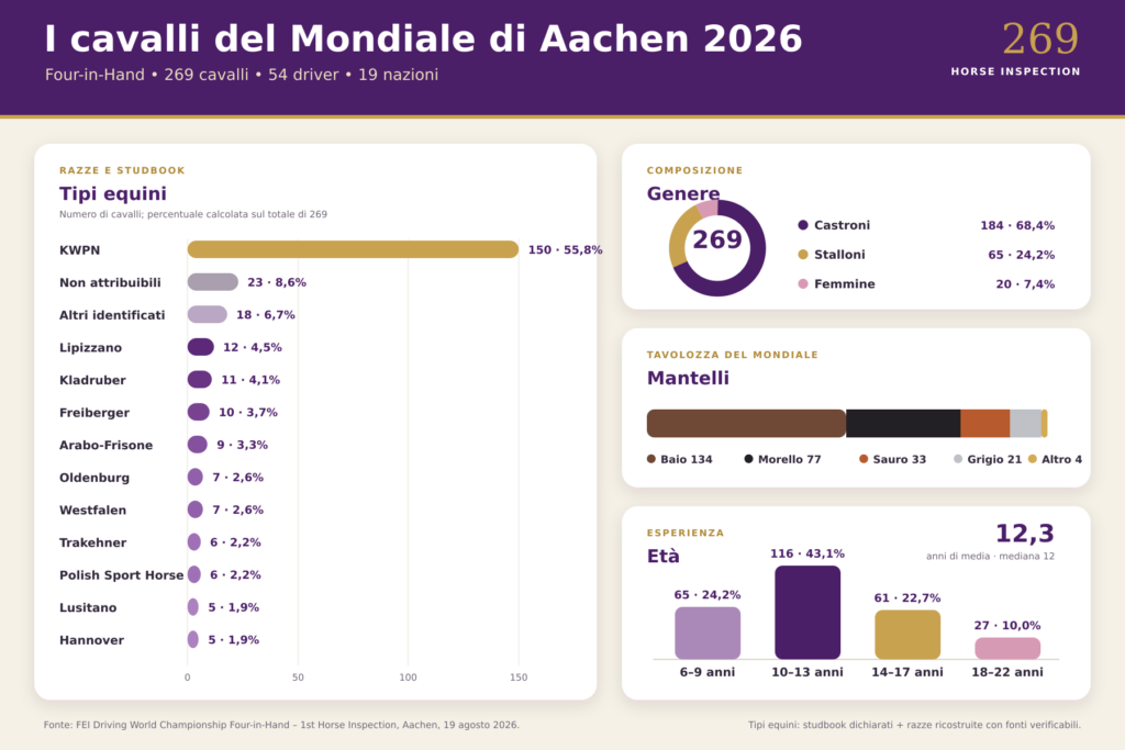infografica_cavalli_aachen_2026 infografica cavalli aachen 2026 1024x683