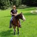 Tragedia in Valbrenta: Lorenzo Zucchetto muore con il suo cavallo