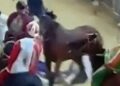 Anda e Bola rimane fermo accanto a Giovanni Atzeni detto Tittia, riverso a terra dopo la caduta oltre il traguardo del Palio dell’Assunta 2026, mentre sopraggiungono gli altri cavalli