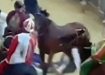 Anda e Bola rimane fermo accanto a Giovanni Atzeni detto Tittia, riverso a terra dopo la caduta oltre il traguardo del Palio dell’Assunta 2026, mentre sopraggiungono gli altri cavalli