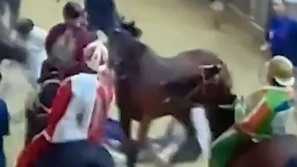 pda 4