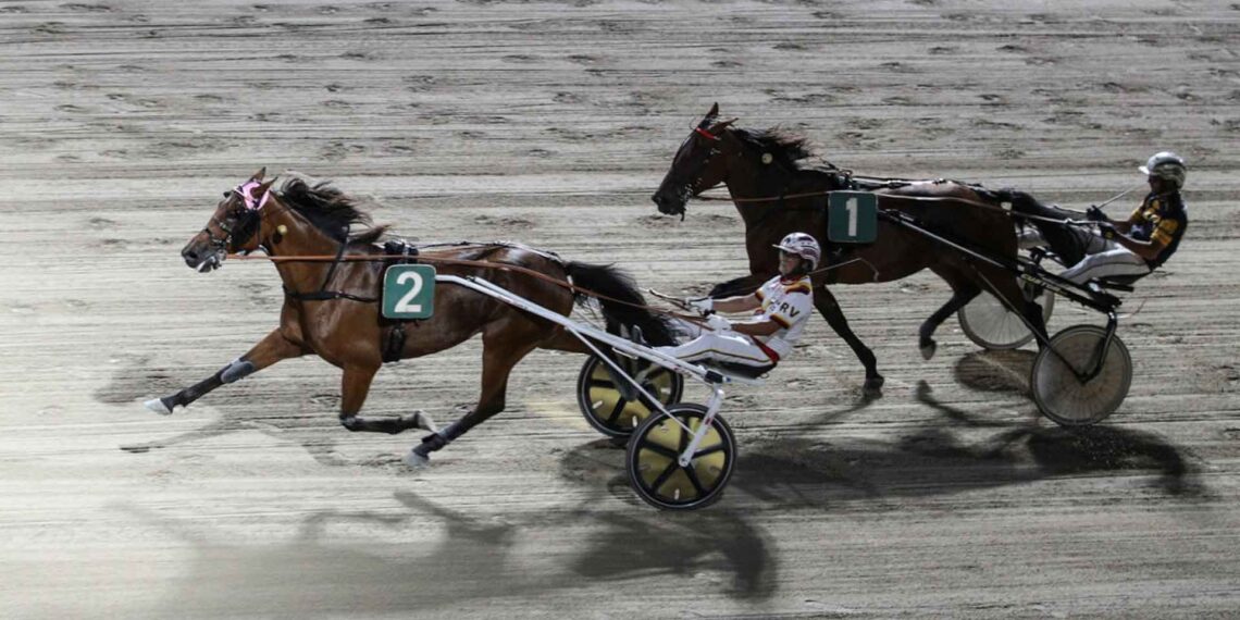 Finalissima TGDA: Roberto Vecchione penta campione!