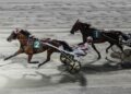 Finalissima TGDA: Roberto Vecchione penta campione!