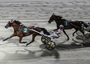 Finalissima TGDA: Roberto Vecchione penta campione!