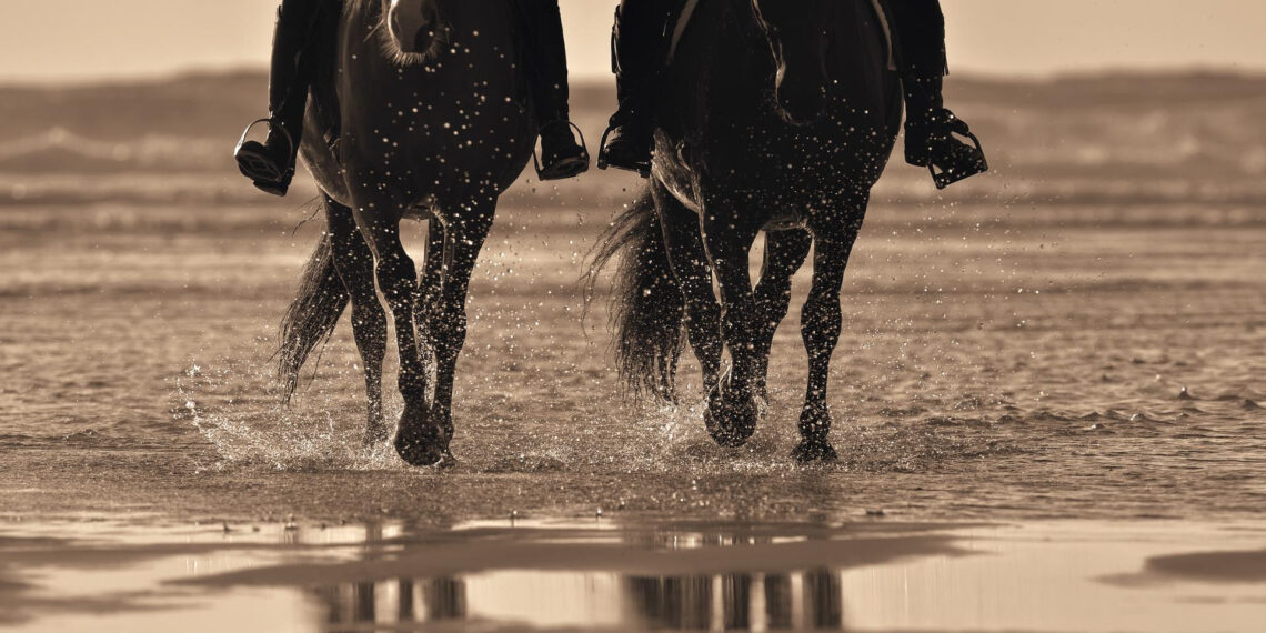 Un weekend tra i cavalli e in riva al mare: Fieracavalli Riding by the Sea