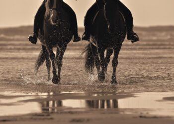 Un weekend tra i cavalli e in riva al mare: Fieracavalli Riding by the Sea