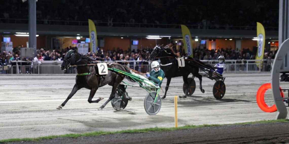 Sabato al Savio il grande spettacolo del Campionato Europeo di Trotto