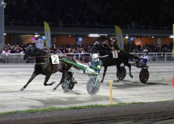 Sabato al Savio il grande spettacolo del Campionato Europeo di Trotto
