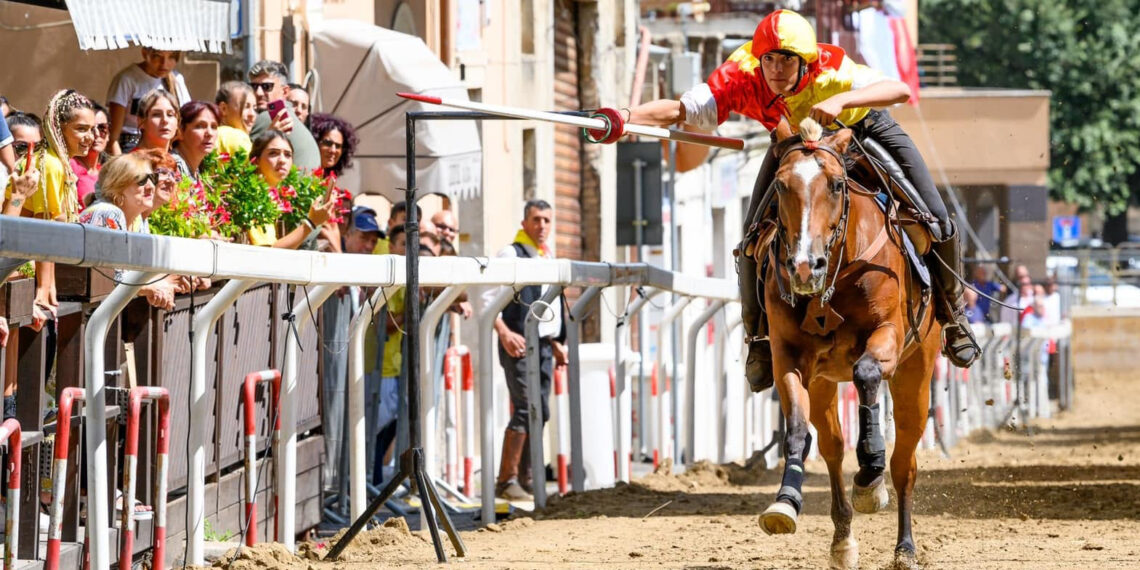 Cavaliere in corsa su un cavallo baio mentre tenta la presa dell’anello nella storica pista di Viale d’Italia durante il Drappo dei Rioni di Tolfa