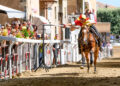 Cavaliere in corsa su un cavallo baio mentre tenta la presa dell’anello nella storica pista di Viale d’Italia durante il Drappo dei Rioni di Tolfa