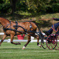 Mario Gandolfo e Favela durante il dressage del Campionato del Mondo FEI di Attacchi Singoli 2026 a München-Riem.
