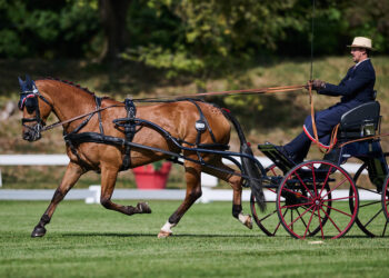 Mario Gandolfo e Favela durante il dressage del Campionato del Mondo FEI di Attacchi Singoli 2026 a München-Riem.