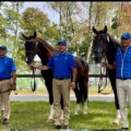 Enrico Tortella con Markus, Antonio Rigamonti con Mito e Cristiano Cividini con Ircolando B al Mondiale FEI 2026 di Attacchi Singoli a Monaco