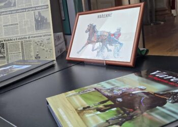 Libri, ritagli di giornale e un’illustrazione esposti nella mostra dedicata al trottatore Varenne nella Residenza Municipale di Copparo