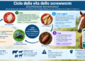 Le larve mangia-carne isolano gli States