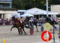 Trotto d’élite a Bologna col Gp Continentale